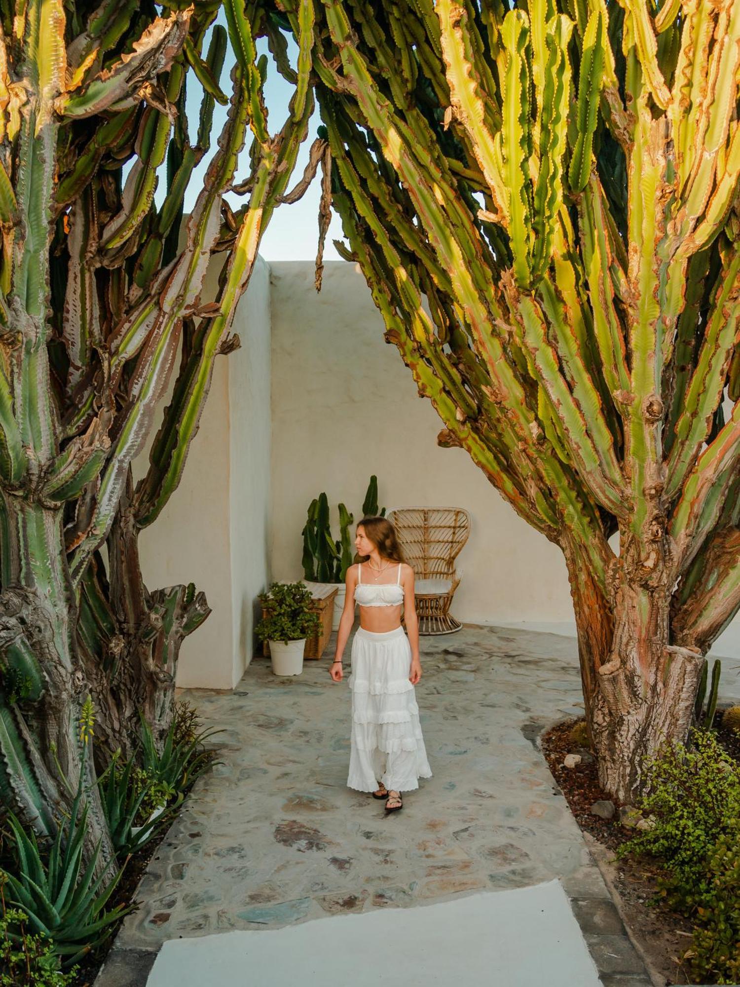 Boutique Eco Hotel Costa Magica Σαν Κριστόμπαλ ντε Λα Λαγούνα Εξωτερικό φωτογραφία