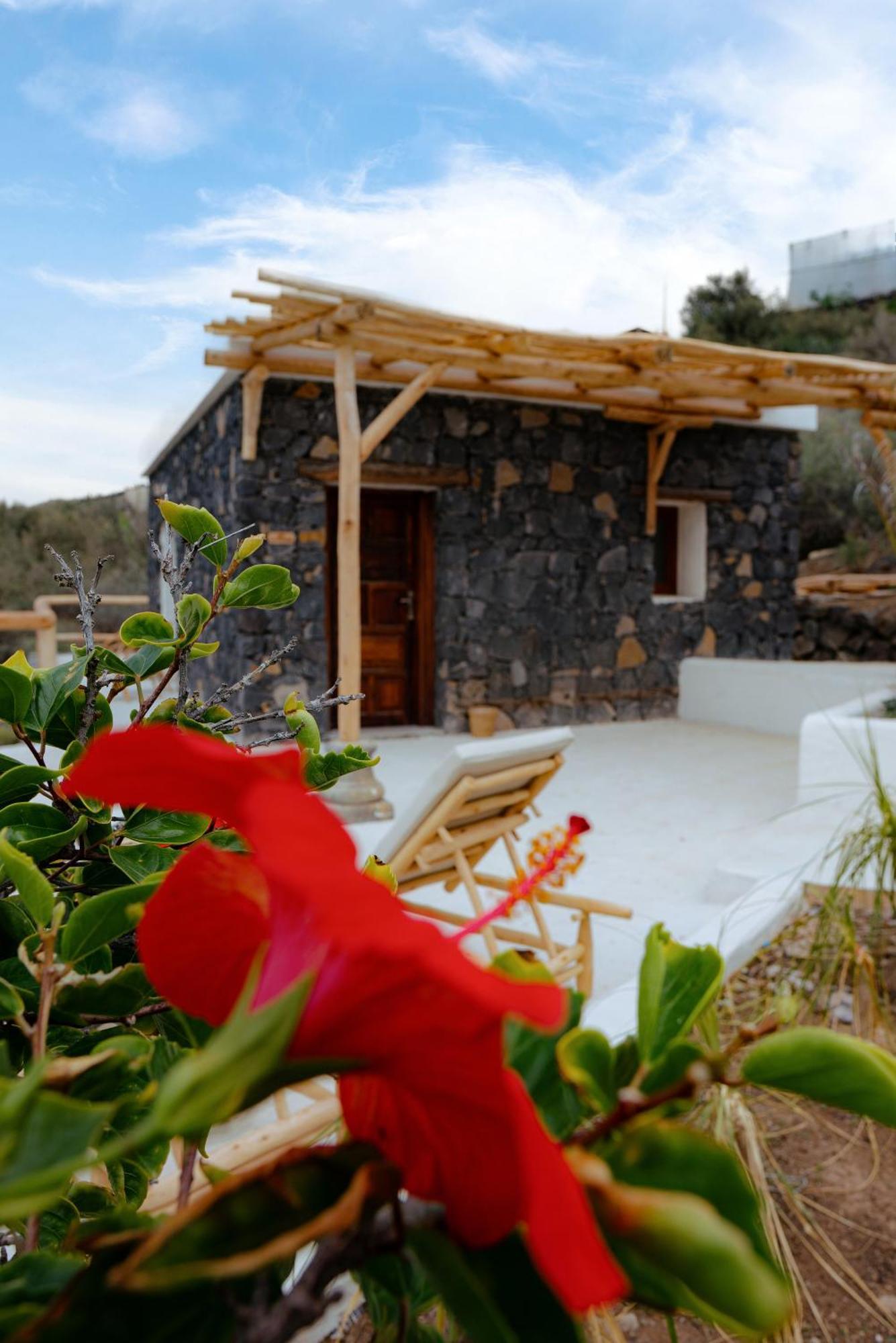 Boutique Eco Hotel Costa Magica Σαν Κριστόμπαλ ντε Λα Λαγούνα Εξωτερικό φωτογραφία